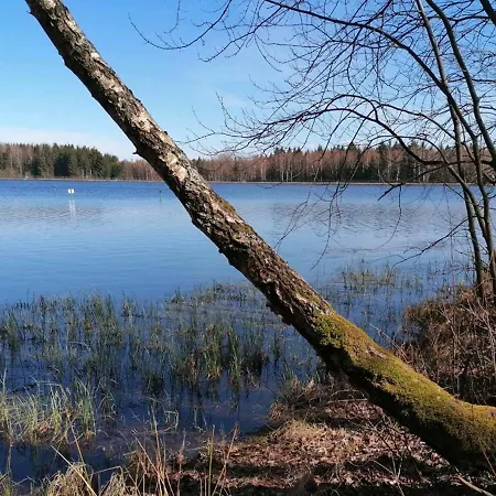 Dom wakacyjny Kiez Am Filzteich *
